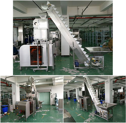 自動化腰果包裝加工線設備 大型腰果自動生產包裝機械