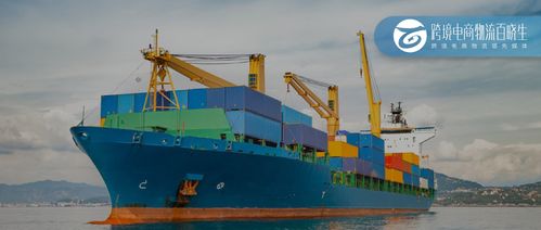 連續(xù)五年增長，XX港口吞吐量增長10% 絲網(wǎng)制品及進(jìn)出口業(yè)務(wù)成關(guān)鍵驅(qū)動(dòng)力